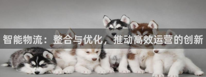 门徒娱乐前5指尖